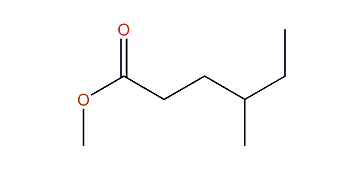 Methyl 4-methylhexanoate